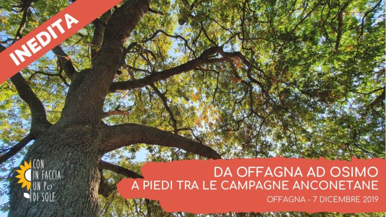 Offagna