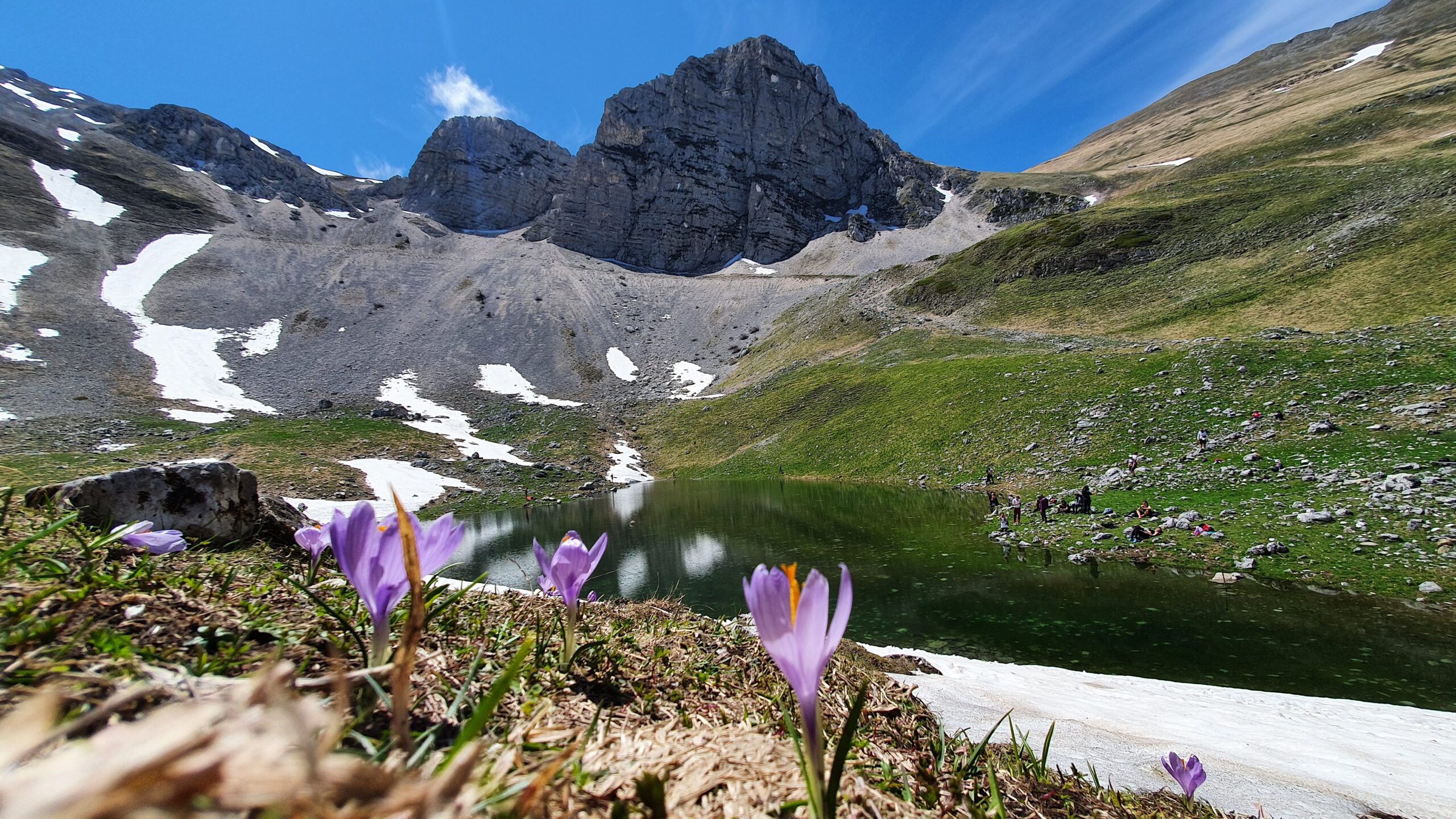 Fioritura al Laghetto di Palazzo Borghese